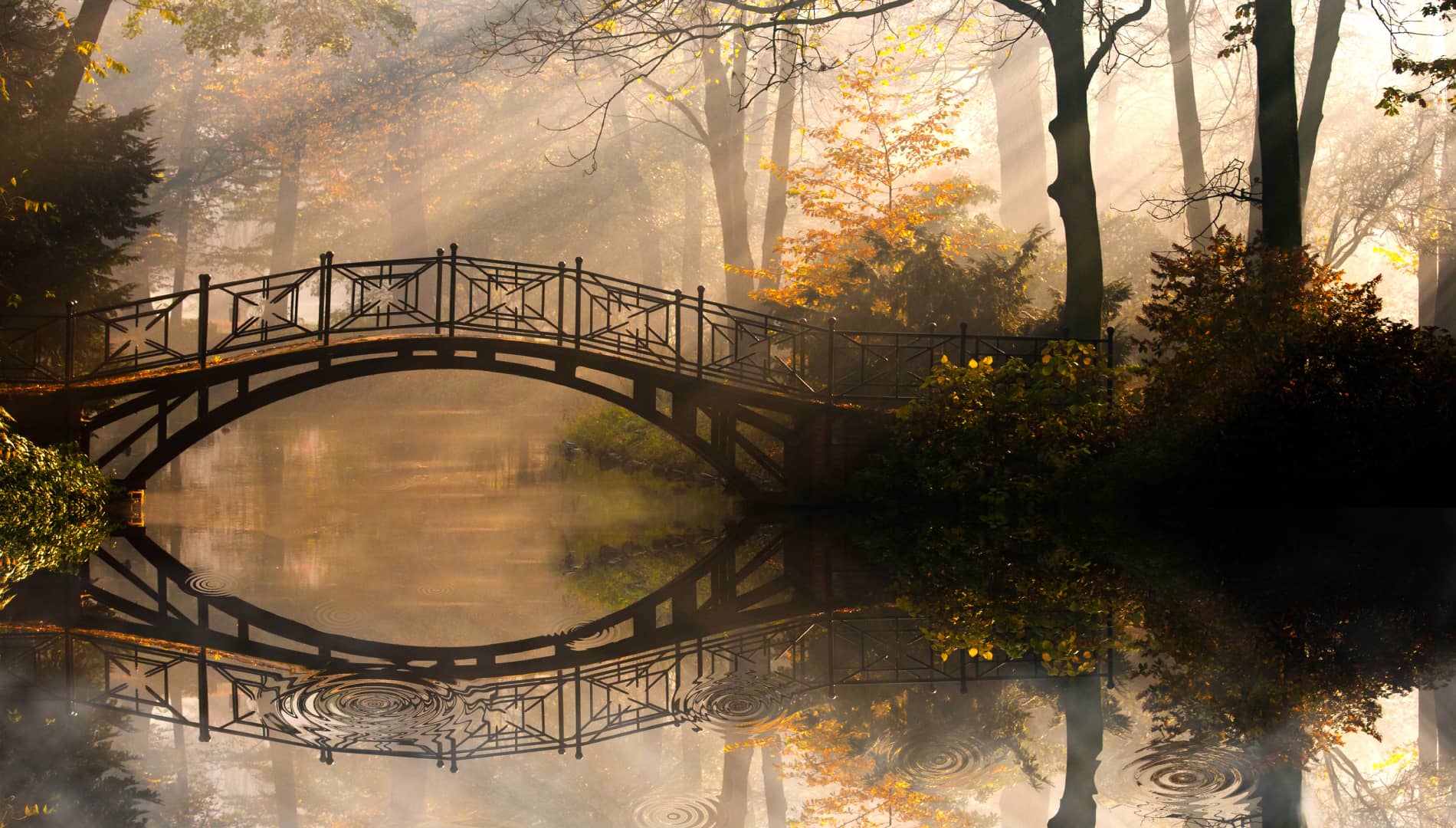 MUB HEADER TIERGESPRAECH