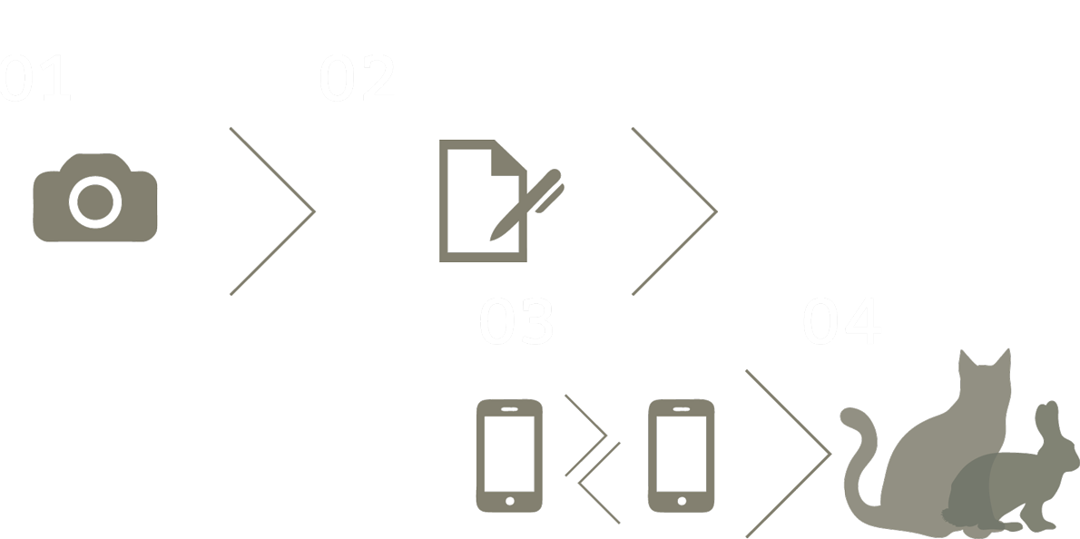 GRAFIK GESPRAECHSABLAUF